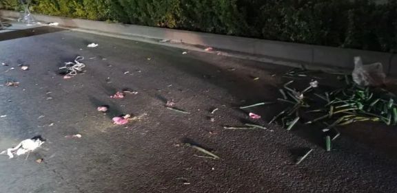 山某小区附近真实一幕被曝光！z6尊龙·中国网站闹心！唐(图4)